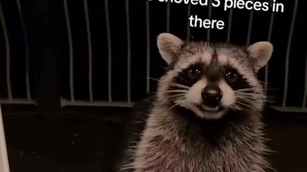 One piece at a time please 😂