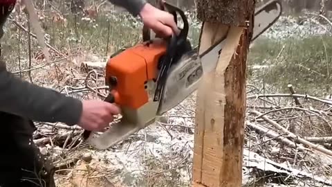 "This Guy’s Tree Cutting Skills Are Unbelievable! 🌲🔥"