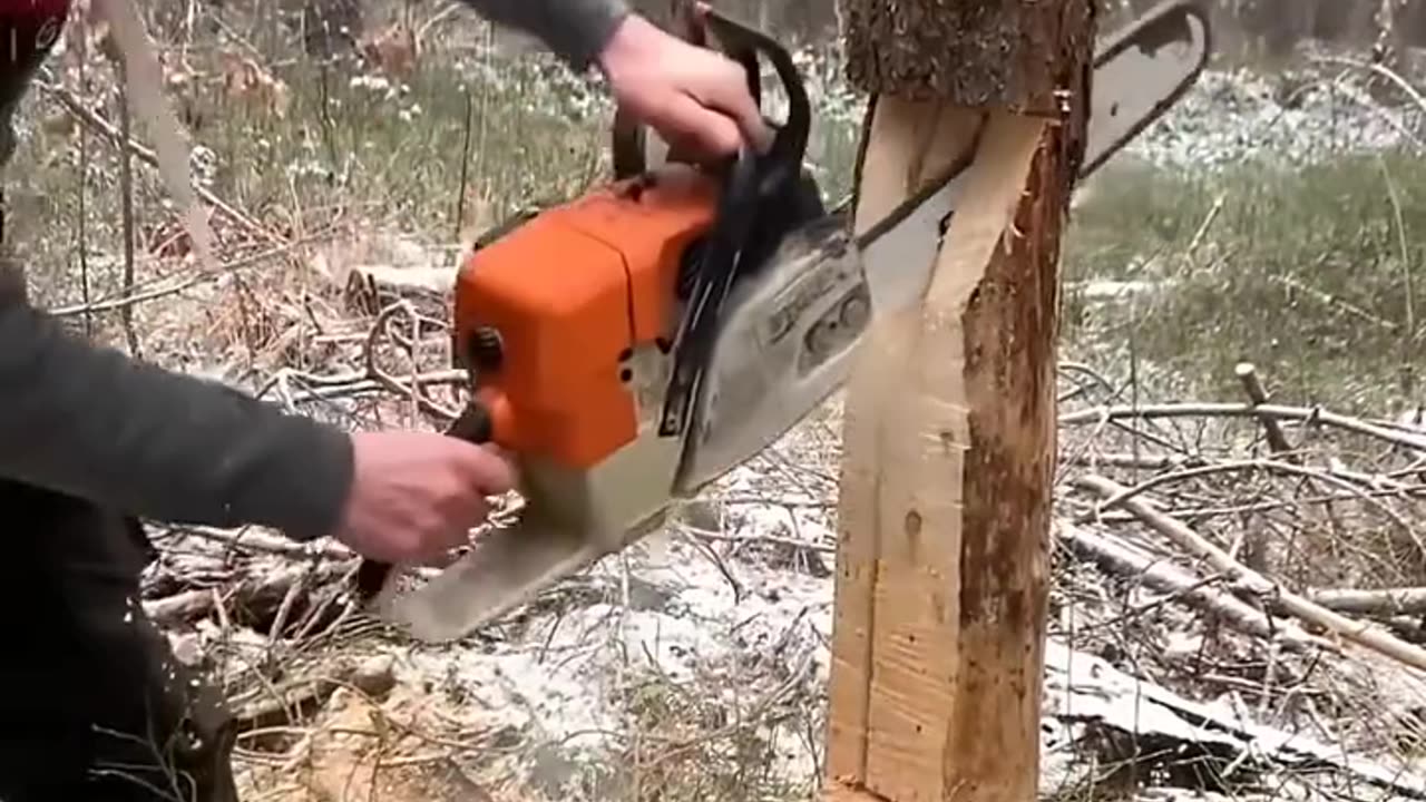 "This Guy’s Tree Cutting Skills Are Unbelievable! 🌲🔥"