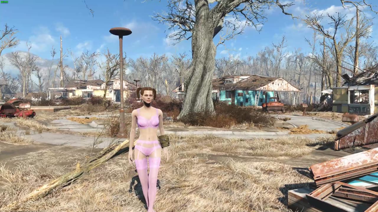 fallout 4 character display part 2