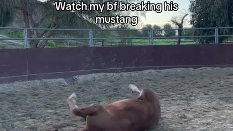 🐴🤣 Gentle Breaking a Horse? HILARIOUS! | FunFM
