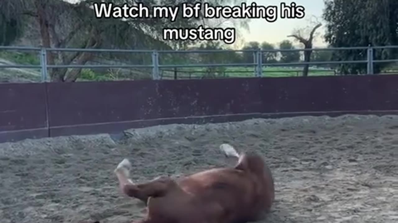 🐴🤣 Gentle Breaking a Horse? HILARIOUS! | FunFM