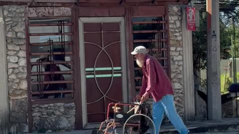 Man Pushes Small Puppy In Wheelchair