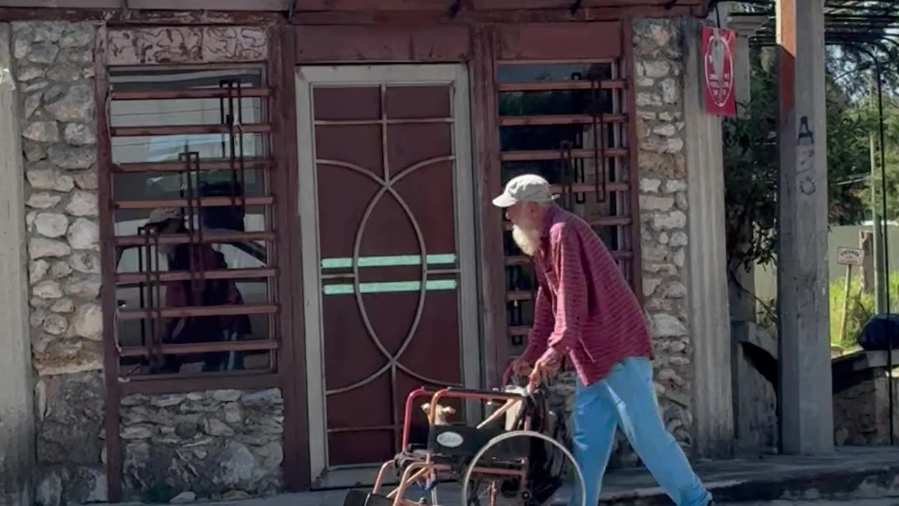 Man Pushes Small Puppy In Wheelchair