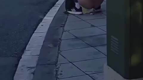 sdssd