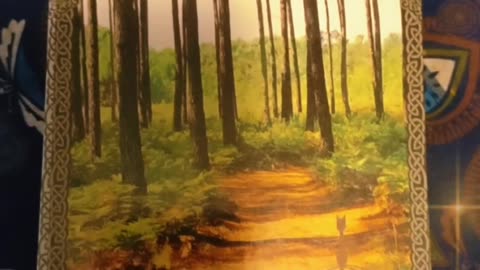 Oracle Card Reading 6/14/25