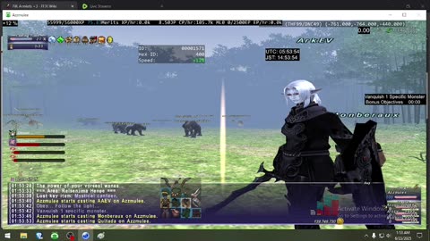 Playing Final Fantasy XI Online