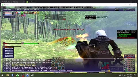 Playing Final Fantasy XI Online