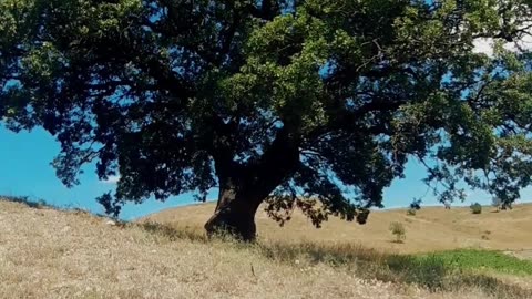 You Are the Author of Your Life - Lama Dawa's Buddhist Perspective
