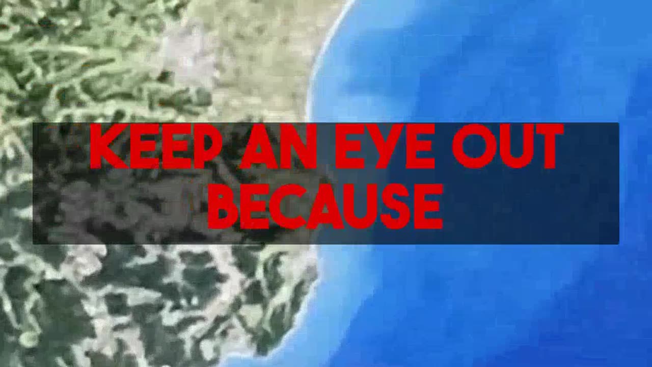 Fleet Watch EgyptAirs Growth and the Prospect of Cheaper Fares