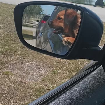 Waiting For My Daughter After School