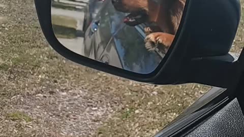 Waiting For My Daughter After School