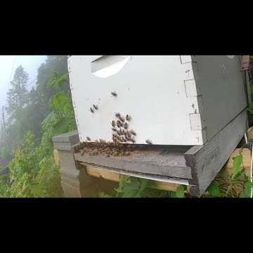 Wednesday Morning Sunrise