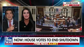 Rep APL Breaks Down What Sen Thune Snuck Into The Bill To Reopen Government