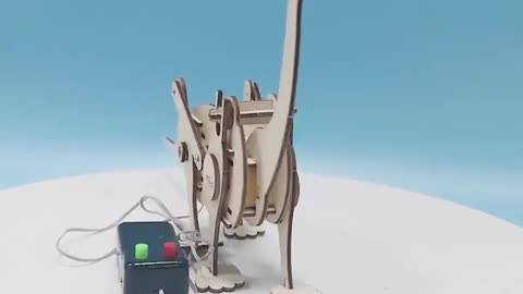 DIY Science Kit Experiment