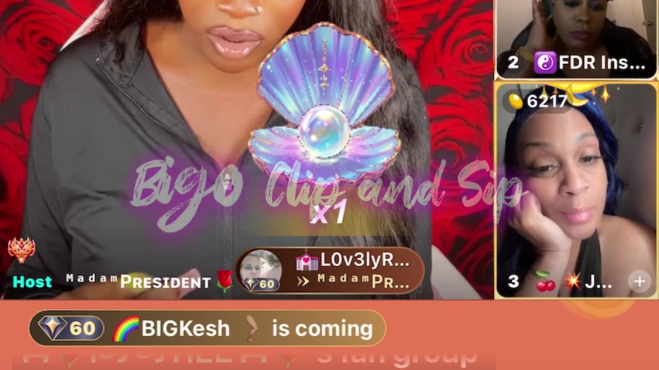 MadamLo's panel speaks on Zerofksgiven vs LadyD n crazysexycool 5/13/25 #bigoclipandsip