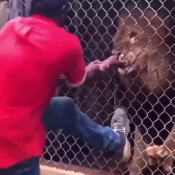 What was he even thinking?