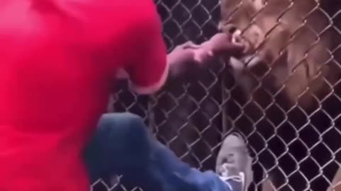 What was he even thinking?