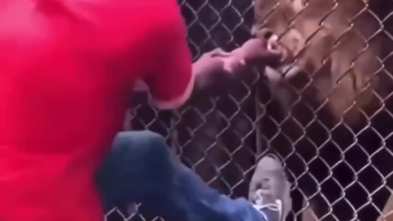 What was he even thinking?