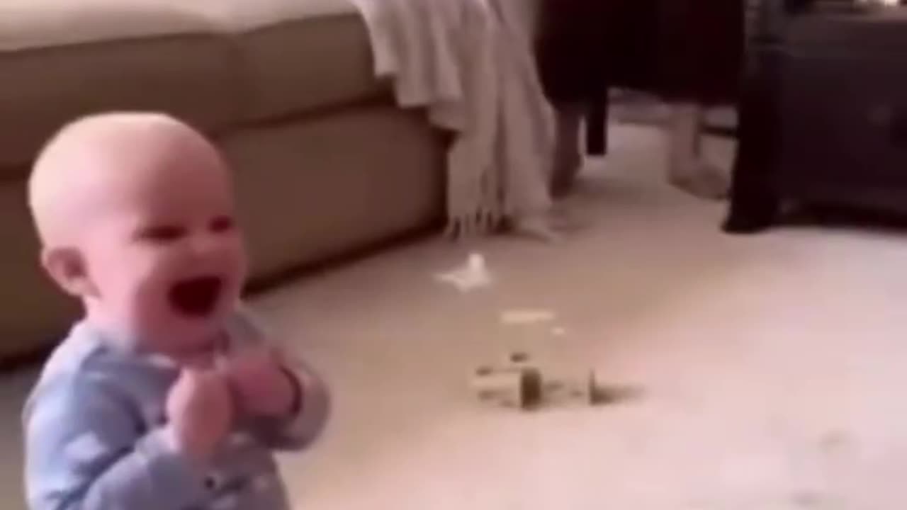 Шарик, малыш, кот и бабуля!))