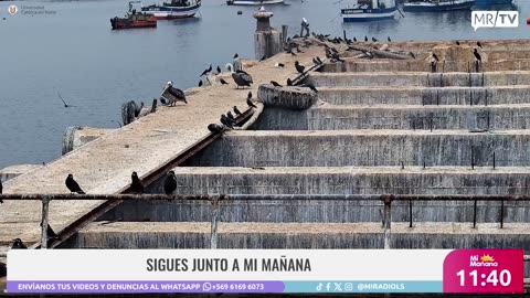 MI MAÑANA 10/06/2025