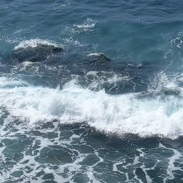 SUNNY Beach Time - ENJOY the Vibe #shorts #beach #nature