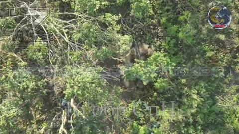 Ukraine war combat footage 8/3/25