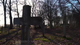 The Beans and Weenie Show with Spanky & Scooter