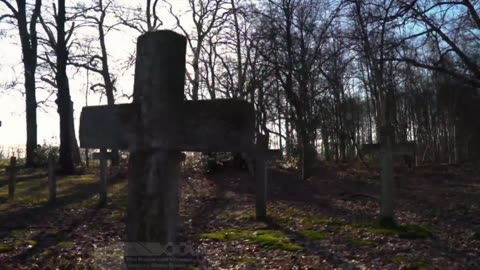 The Beans and Weenie Show with Spanky & Scooter