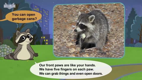 Get to Know the Animals 44 minutes | Fox, Cheetah, Alligator, and Shark