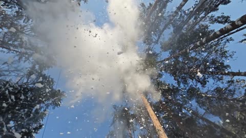 Making Snow Fall in the Forest