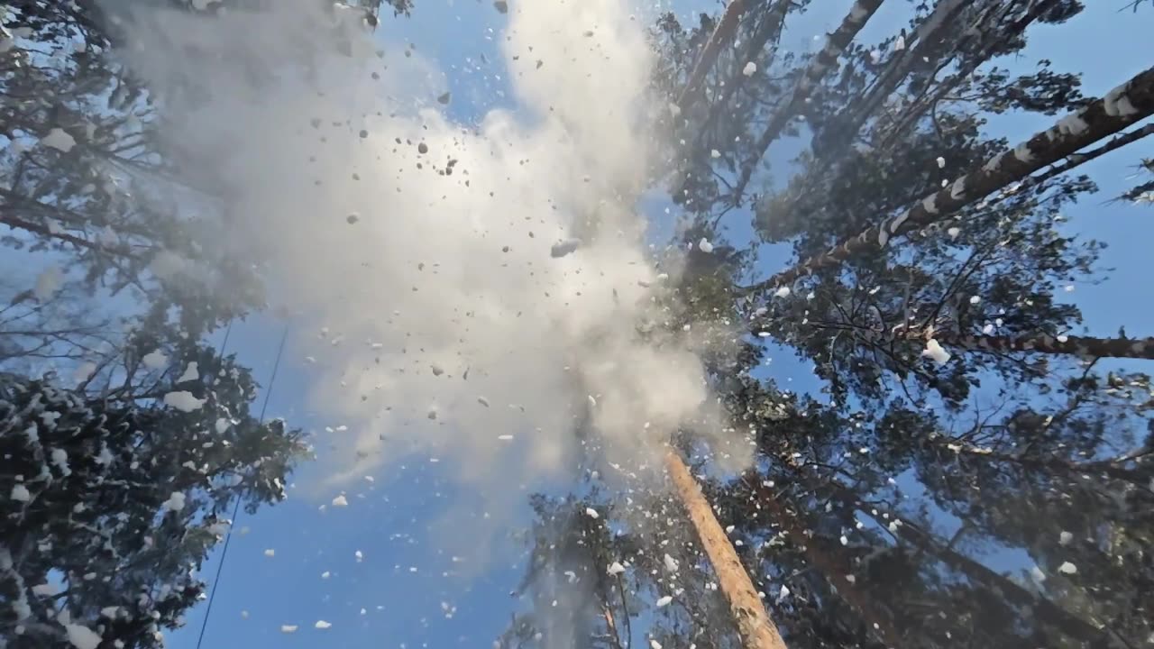 Making Snow Fall in the Forest