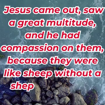“The Compassionate Shepherd” mark 6:34 #shortvideo #shorts #youtubeshorts #ytshorts #reels #yt
