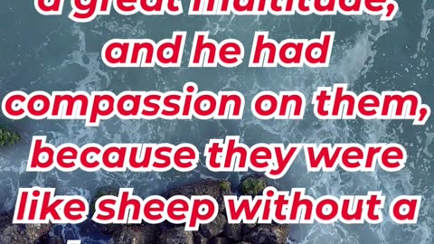 “The Compassionate Shepherd” mark 6:34 #shortvideo #shorts #youtubeshorts #ytshorts #reels #yt