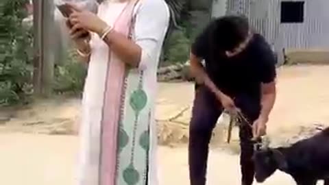 Epic funny video