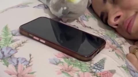 لما البغبغاء يكون أذكى من الجوال! �