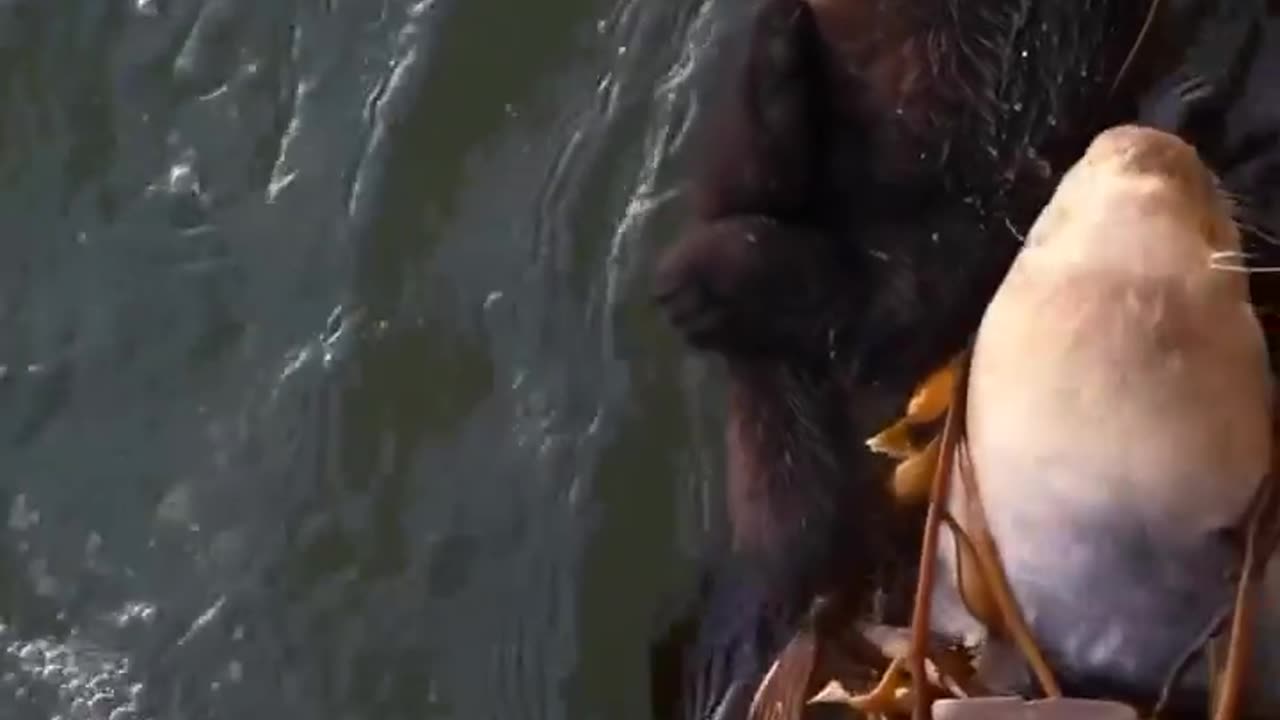 Together, we go further