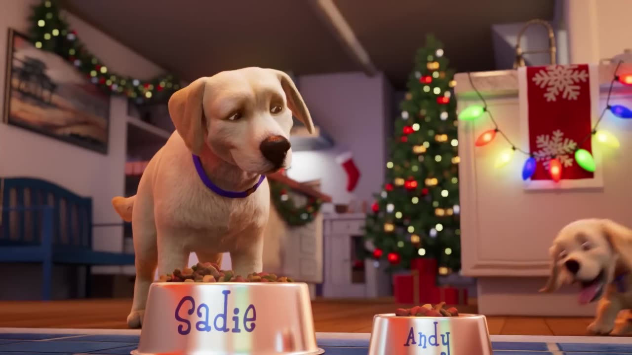 Andy: A Dog's Tale | Full Film | Canine Companions #animation #puppy #servicedog