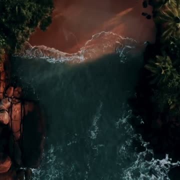 Hidden Within a Lost Paradise 🌊🌴 | Sounds of Nature