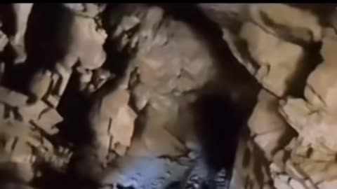 😨👹 3 Scary Creatures Caught on Video! | TheHauntingHour