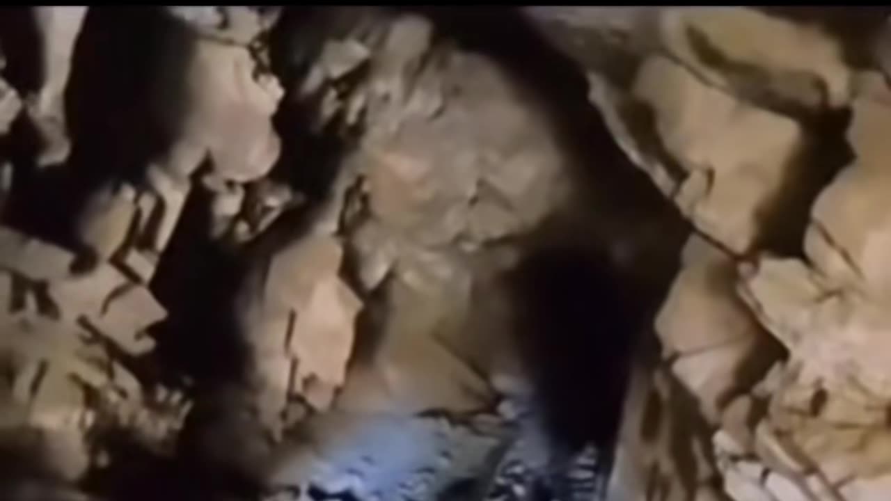 😨👹 3 Scary Creatures Caught on Video! | TheHauntingHour