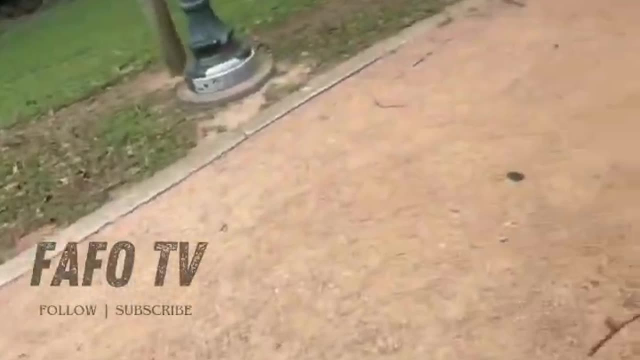 What Did You Expect?