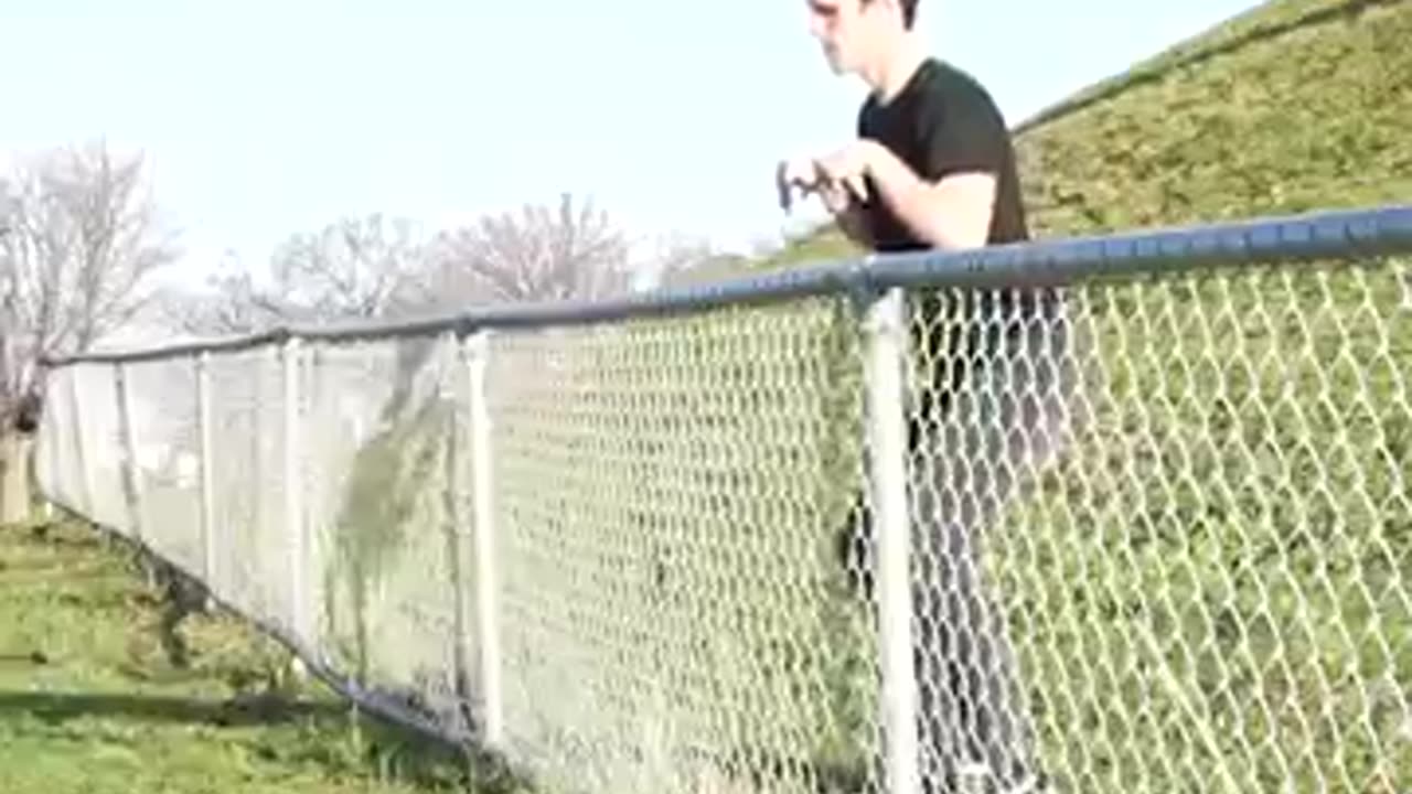 How animals get over a fence
