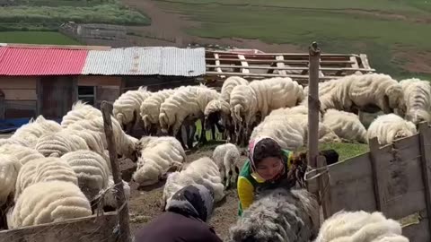 The beautiful summer village of Sueton Talesh