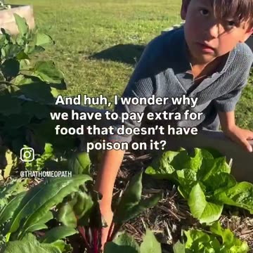 EVERYONE IS WAKING UP