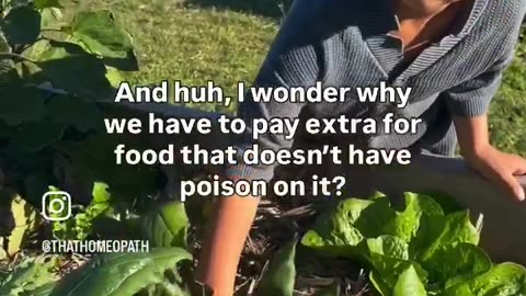 EVERYONE IS WAKING UP