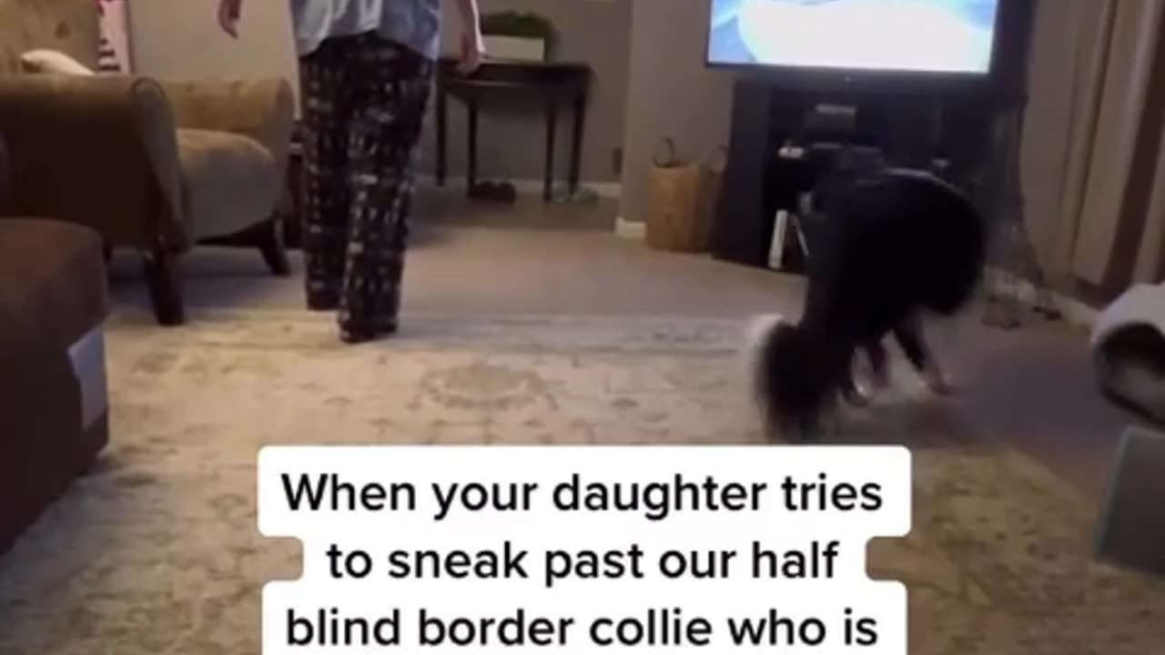 🐱😱 This Cat's Sneaky Move Will Make You Laugh! | FunFM
