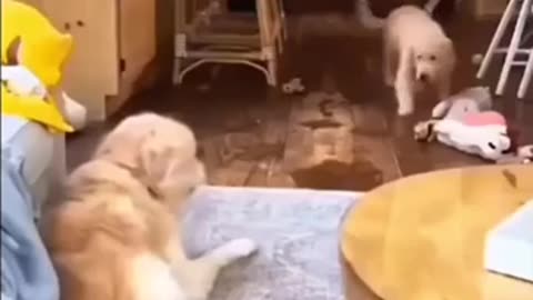 🤣🐶 You Won't Believe What This Dog 'Said'! | FunFM
