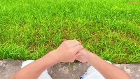BOOST Your Lung Health with TCM Acupressure and Qi Gong!