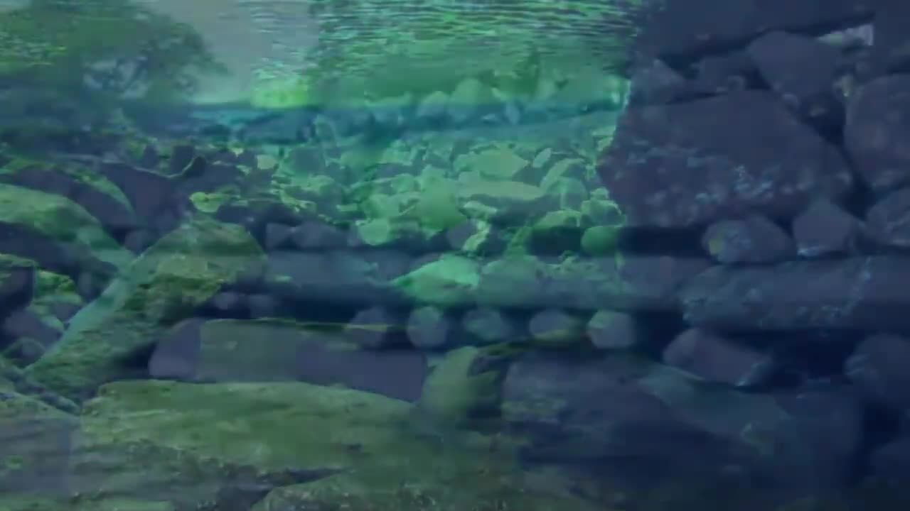 Something Strange Is Happening On Bouvet Island